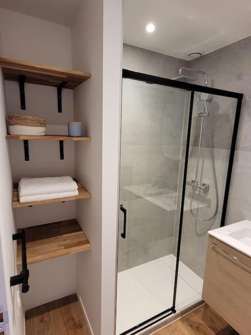 Studio 2 Voyageurs Au Coeur De Ville Sallanches Dış mekan fotoğraf